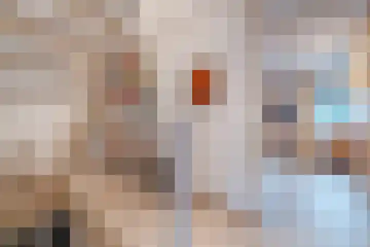 Opaalstoep 73 Assen thumbnail 26