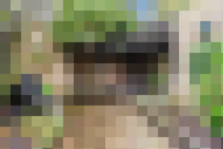 Opaalstoep 73 Assen thumbnail 34