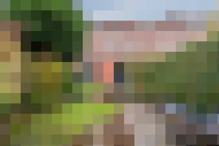 Opaalstoep 73 Assen thumbnail 36