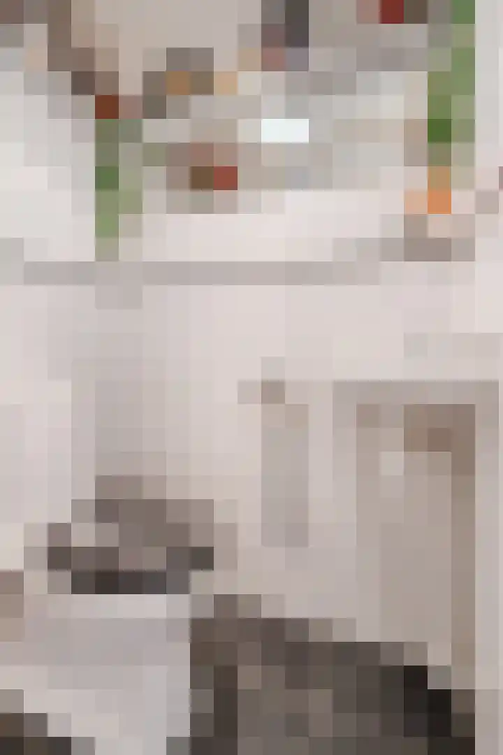 Opaalstoep 73 Assen thumbnail 6