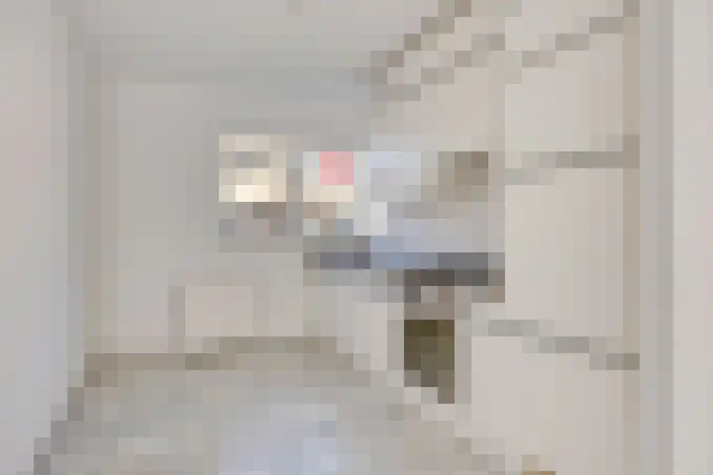 Opaalstraat 12 Alphen aan den Rijn thumbnail 7