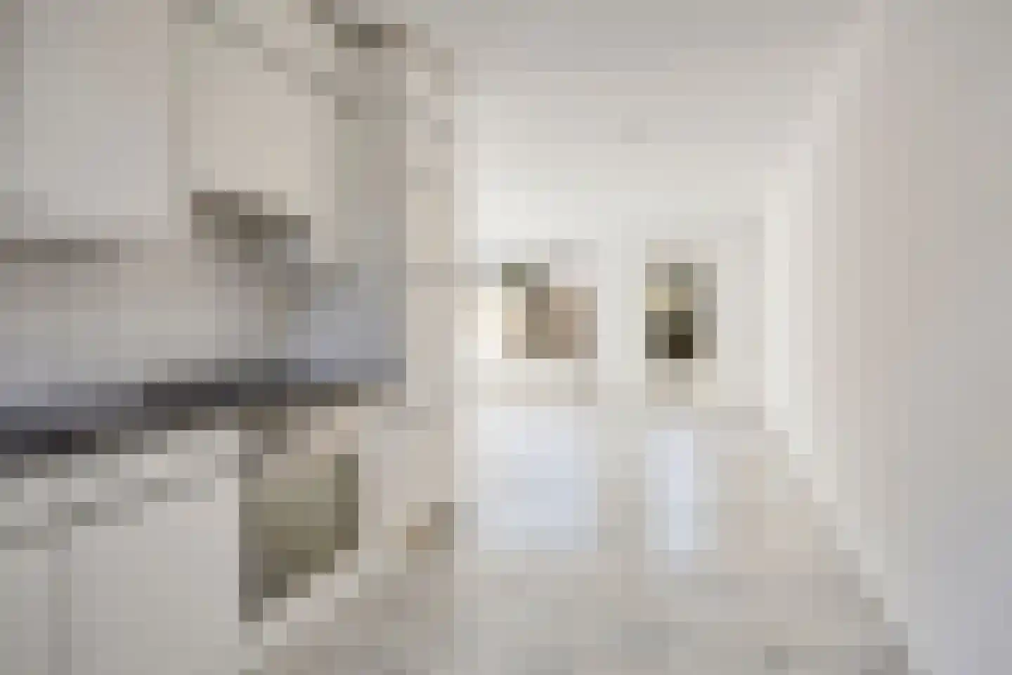 Opaalstraat 12 Alphen aan den Rijn thumbnail 8
