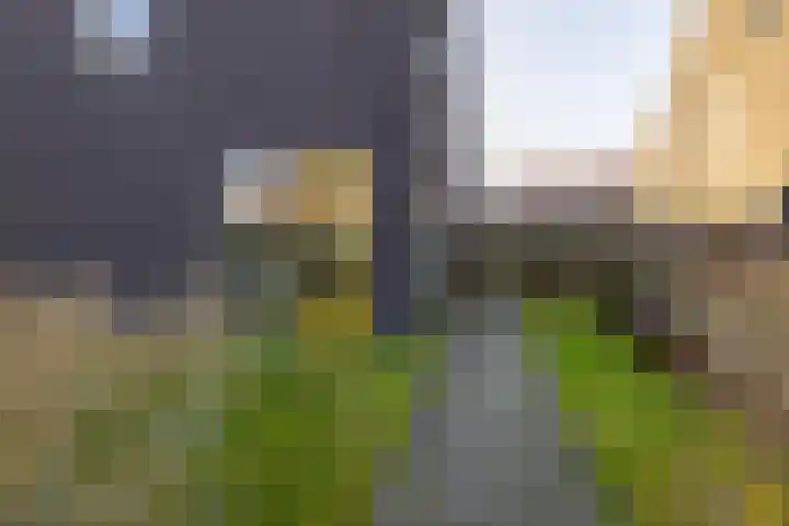 Opaalstraat 142 Groningen foto 2