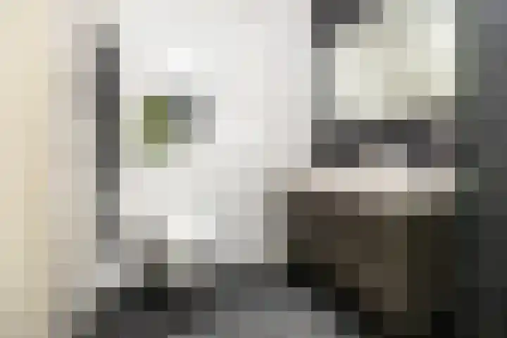 Opaalstraat 142 Groningen thumbnail 20