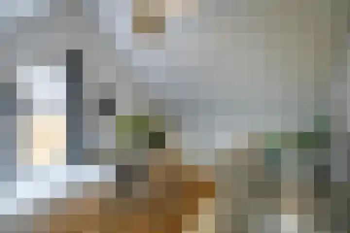 Opaalstraat 142 Groningen thumbnail 22