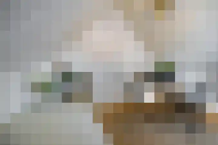 Opaalstraat 142 Groningen thumbnail 23