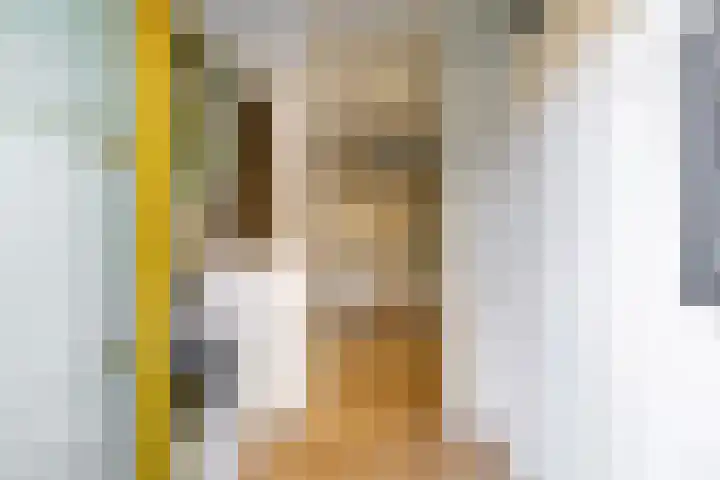 Opaalstraat 142 Groningen thumbnail 4