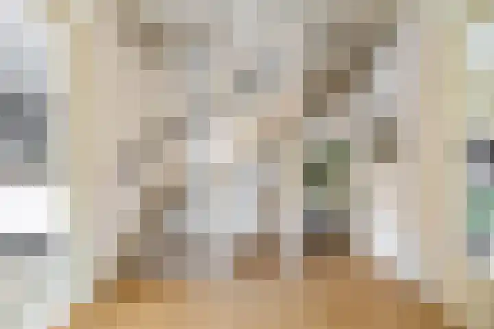 Opaalstraat 142 Groningen thumbnail 5