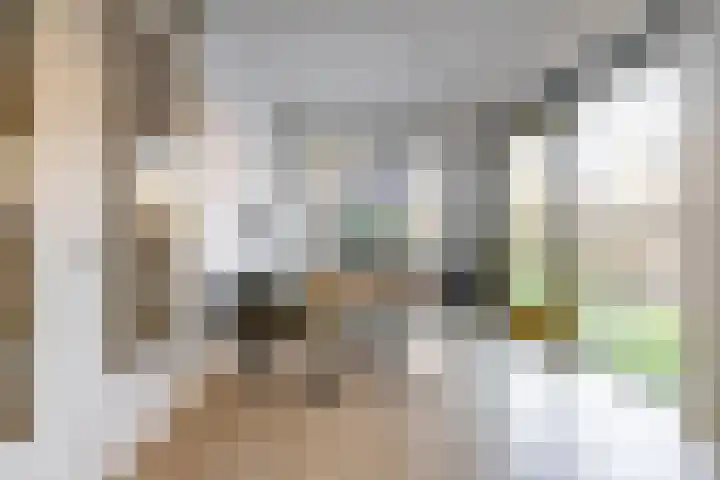 Opaalstraat 142 Groningen thumbnail 6