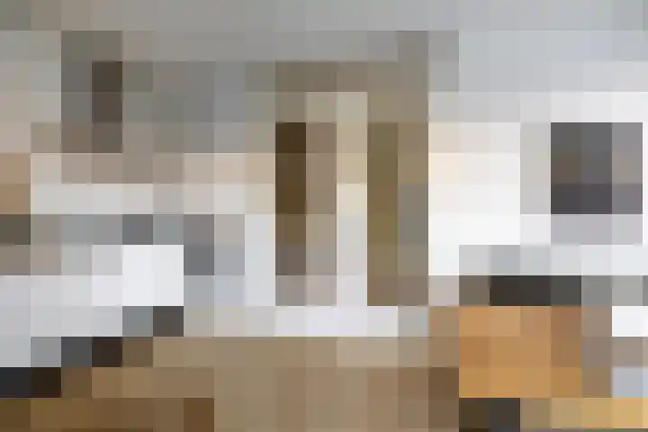 Opaalstraat 142 Groningen thumbnail 9