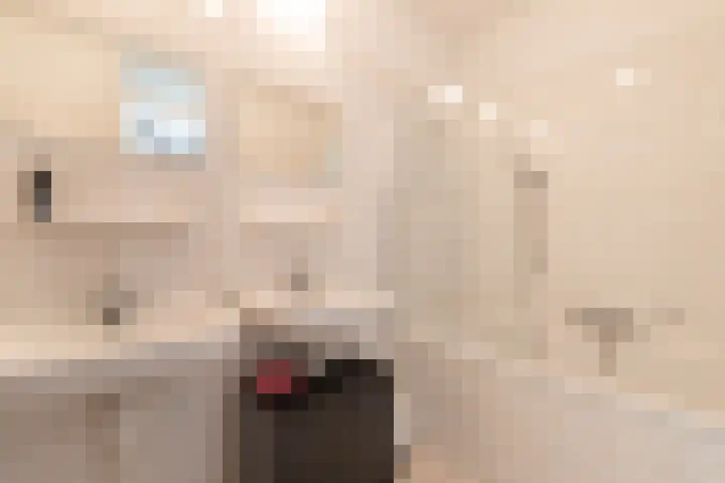 Opaalstraat 148 Groningen thumbnail 36