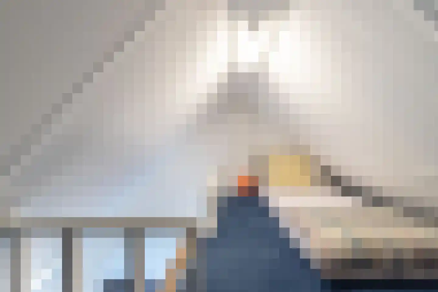 Opaalstraat 148 Groningen thumbnail 38