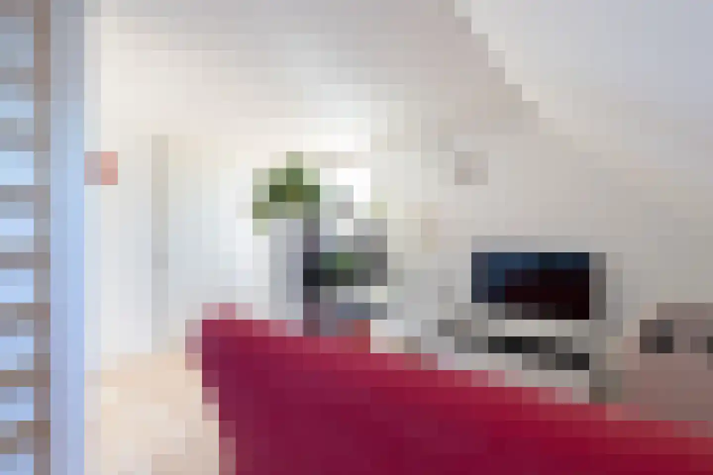 Opaalstraat 148 Groningen thumbnail 39