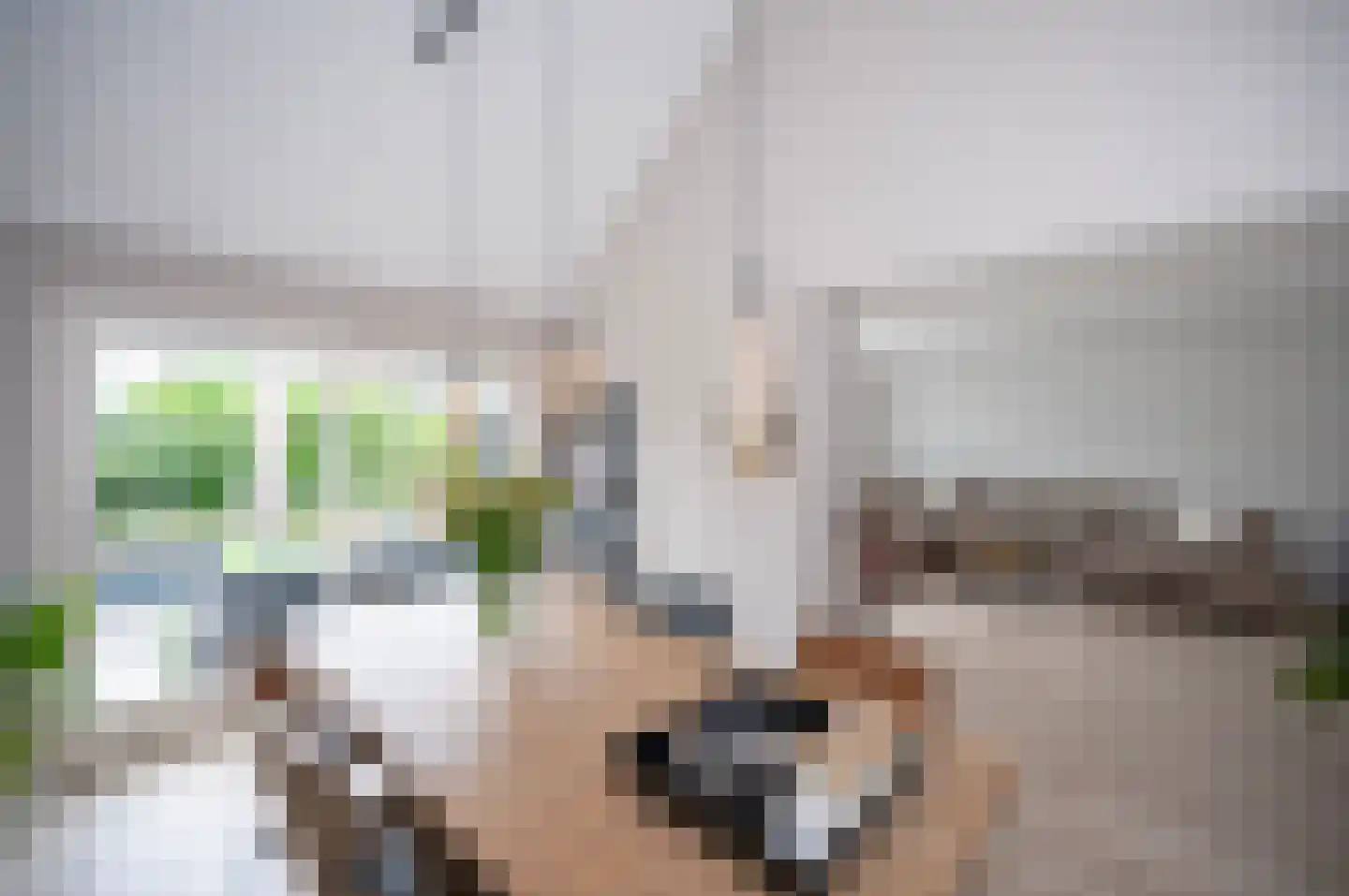 Opaalstraat 7 Alphen aan den Rijn thumbnail 10