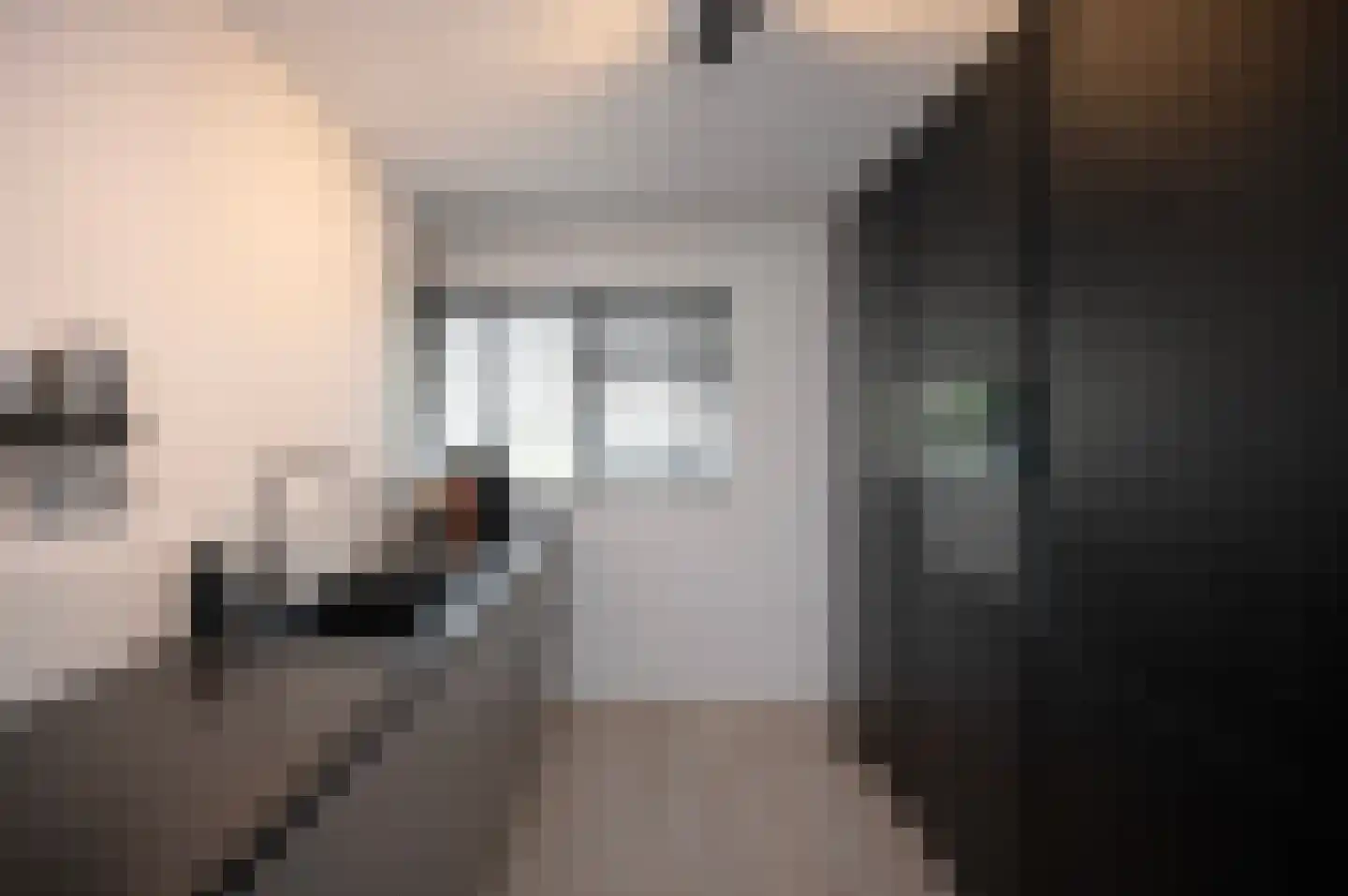 Opaalstraat 7 Alphen aan den Rijn thumbnail 12