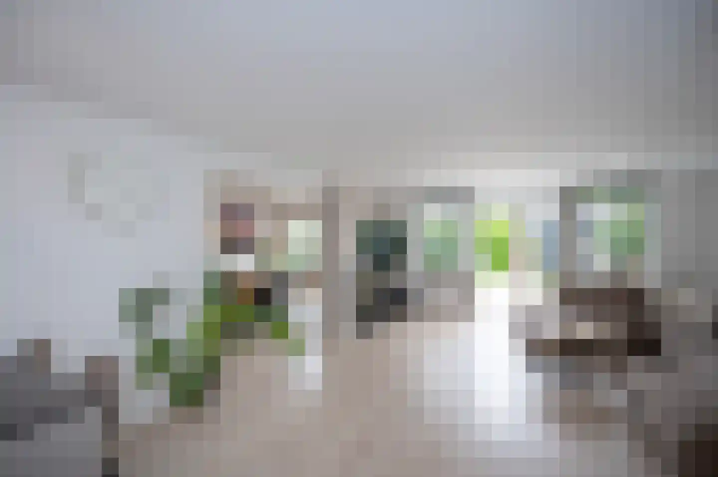 Opaalstraat 7 Alphen aan den Rijn foto 3