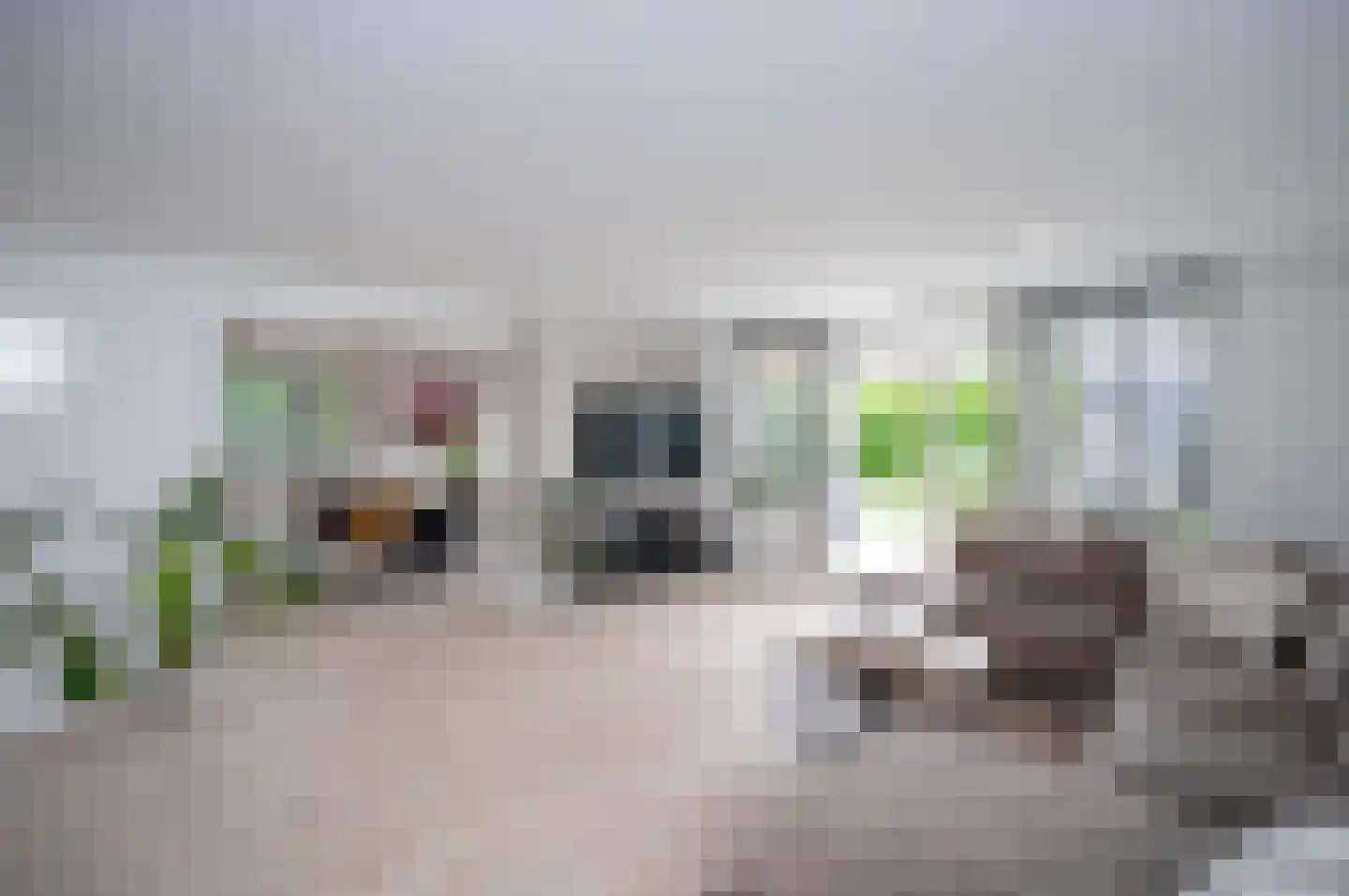 Opaalstraat 7 Alphen aan den Rijn thumbnail 6