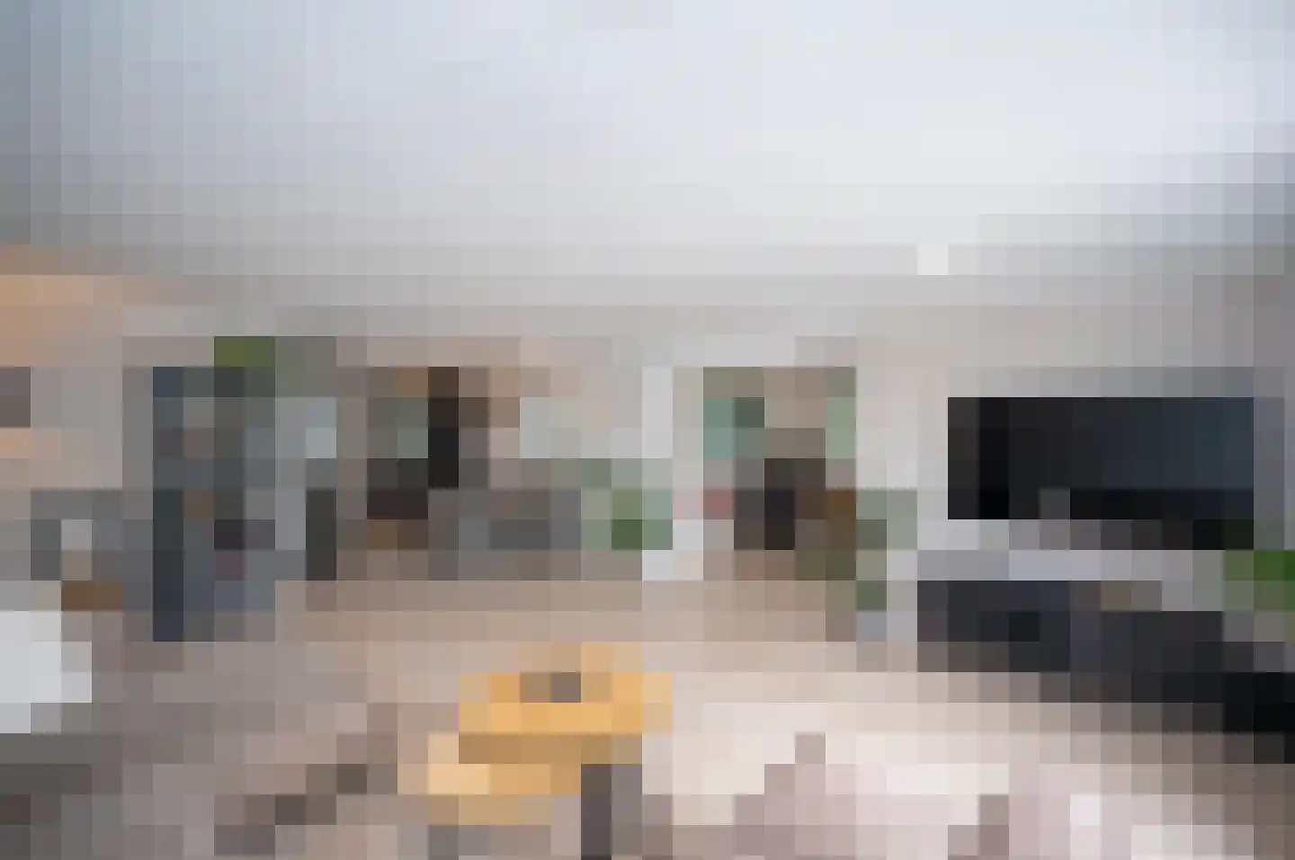 Opaalstraat 7 Alphen aan den Rijn thumbnail 7