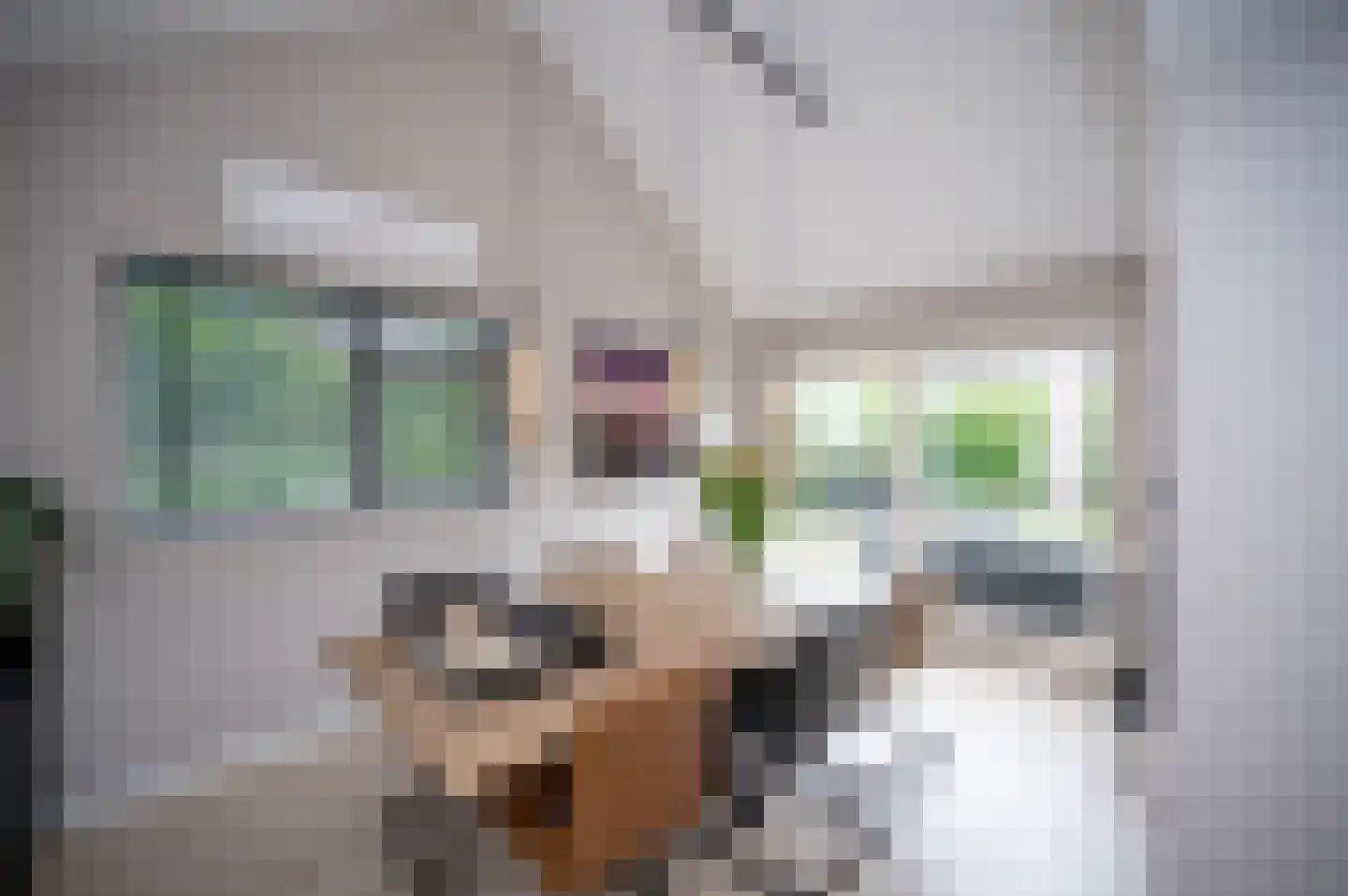 Opaalstraat 7 Alphen aan den Rijn thumbnail 9
