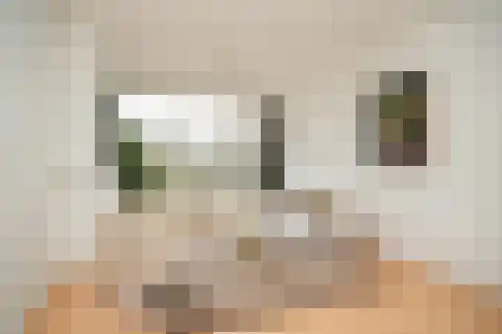 Opaalweg 139 Utrecht thumbnail 6