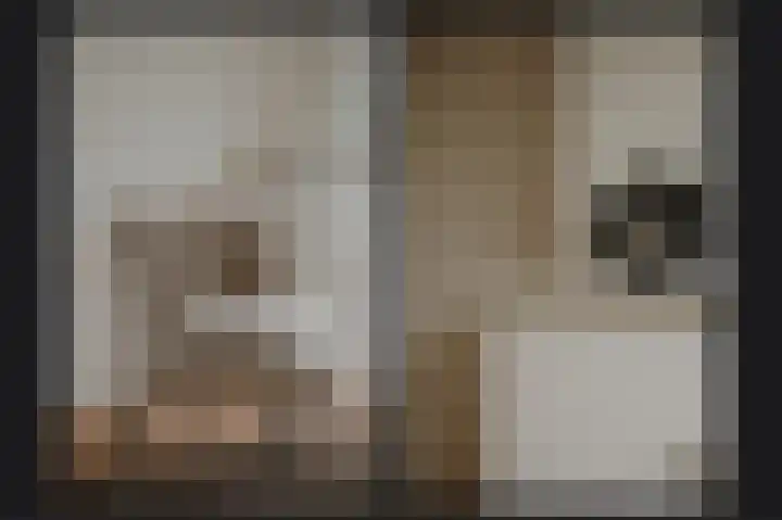 Opaalweg 139 Utrecht thumbnail 8