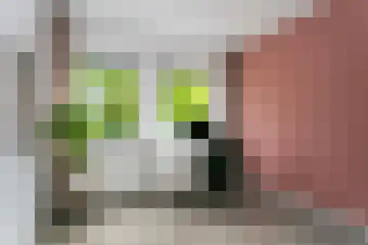 Opaalweg 141 Utrecht thumbnail 14