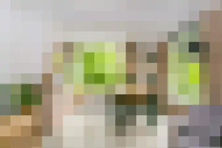 Opaalweg 141 Utrecht thumbnail 8