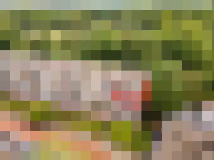 Opaalweg 145 Utrecht thumbnail 23