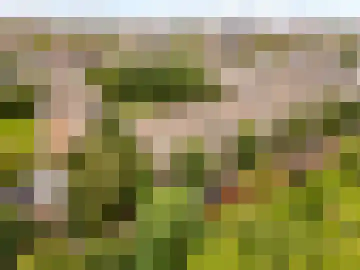 Opaalweg 145 Utrecht thumbnail 24