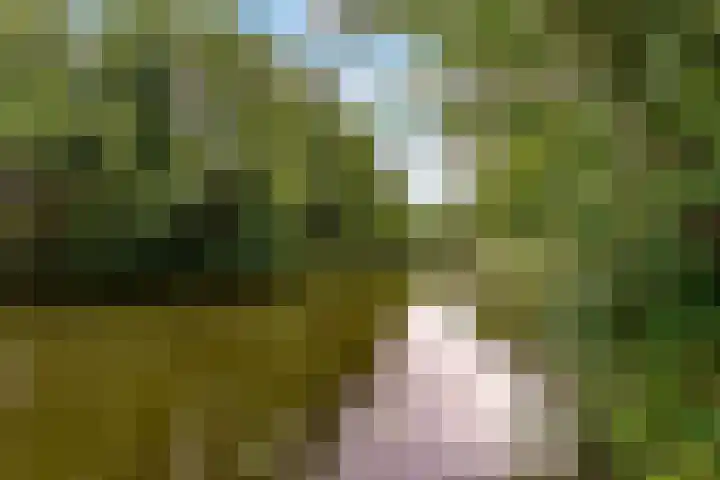 Opaalweg 145 Utrecht thumbnail 25