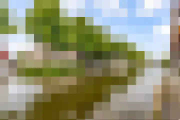 Opaalweg 145 Utrecht thumbnail 30