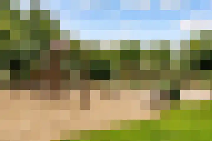 Opaalweg 145 Utrecht thumbnail 31