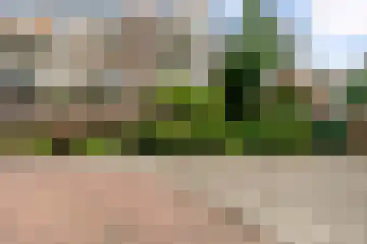 Opaalweg 145 Utrecht thumbnail 34