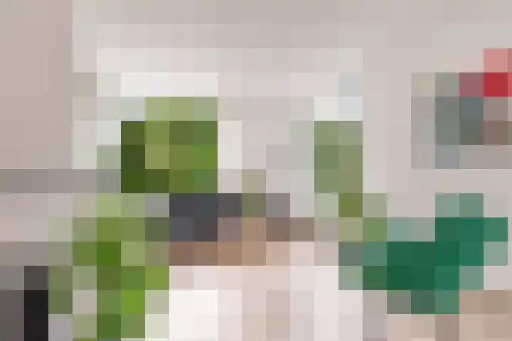 Opaalweg 145 Utrecht thumbnail 7