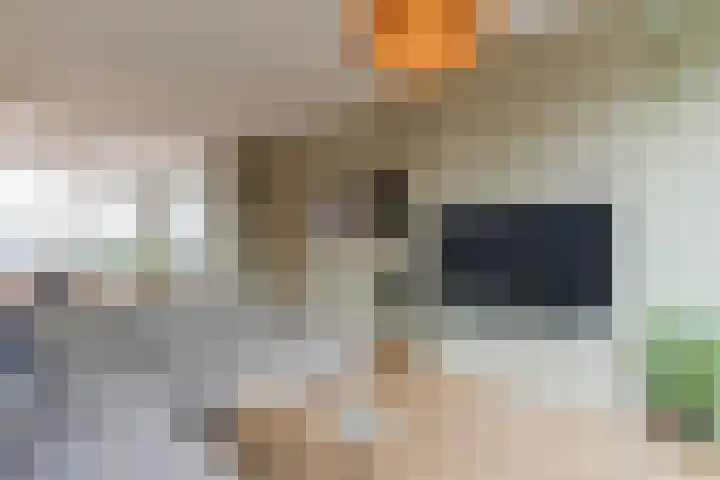 Opaalweg 149 Utrecht thumbnail 13
