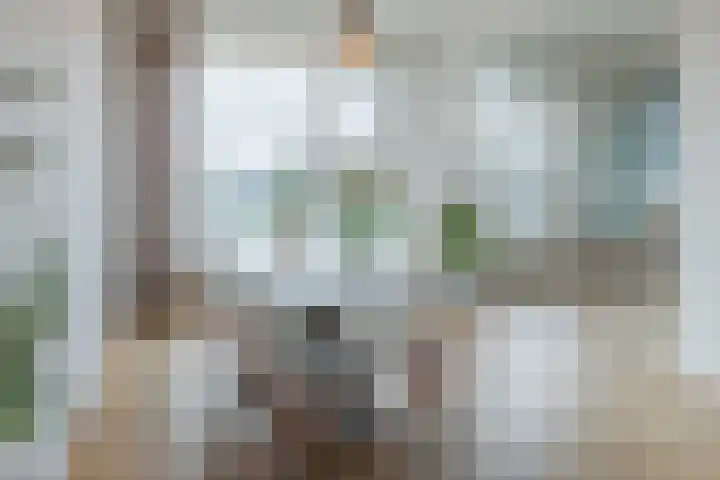 Opaalweg 149 Utrecht thumbnail 22