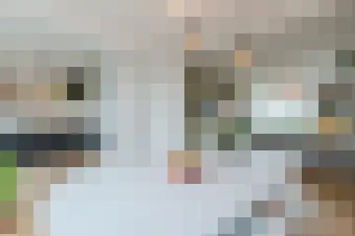 Opaalweg 149 Utrecht thumbnail 24