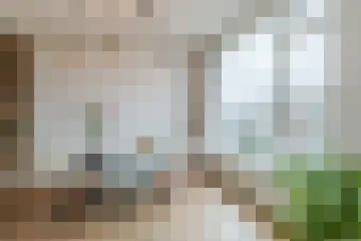 Opaalweg 149 Utrecht thumbnail 35
