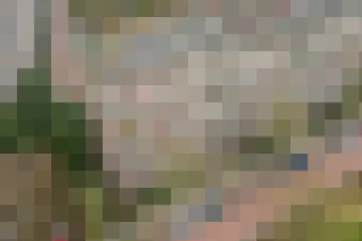 Opaalweg 149 Utrecht thumbnail 51