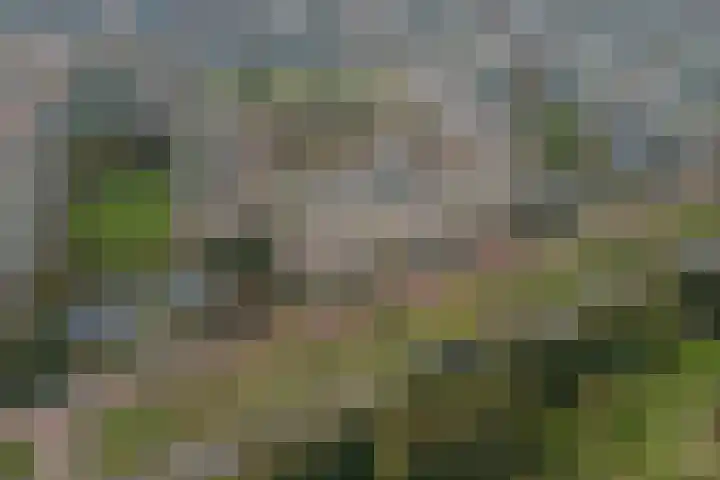 Opaalweg 149 Utrecht thumbnail 54