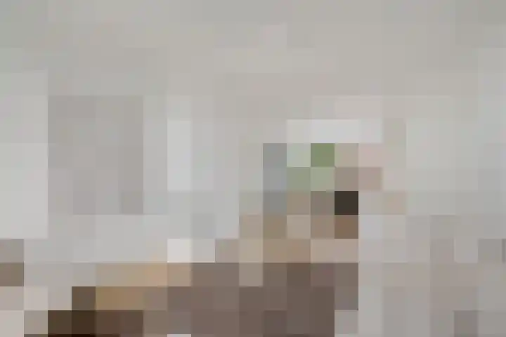 Opaalweg 15 Utrecht thumbnail 10