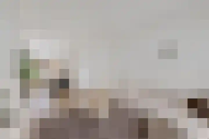 Opaalweg 15 Utrecht thumbnail 11