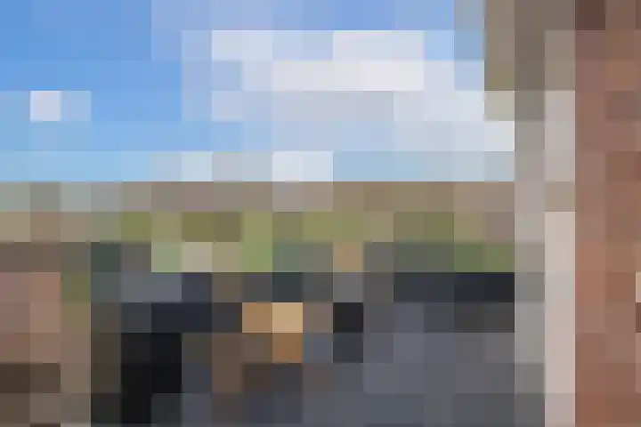 Opaalweg 15 Utrecht thumbnail 34