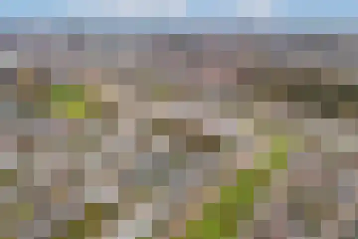 Opaalweg 15 Utrecht thumbnail 41
