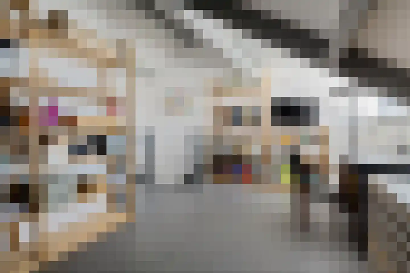 Opaalweg 34 Oss thumbnail 29