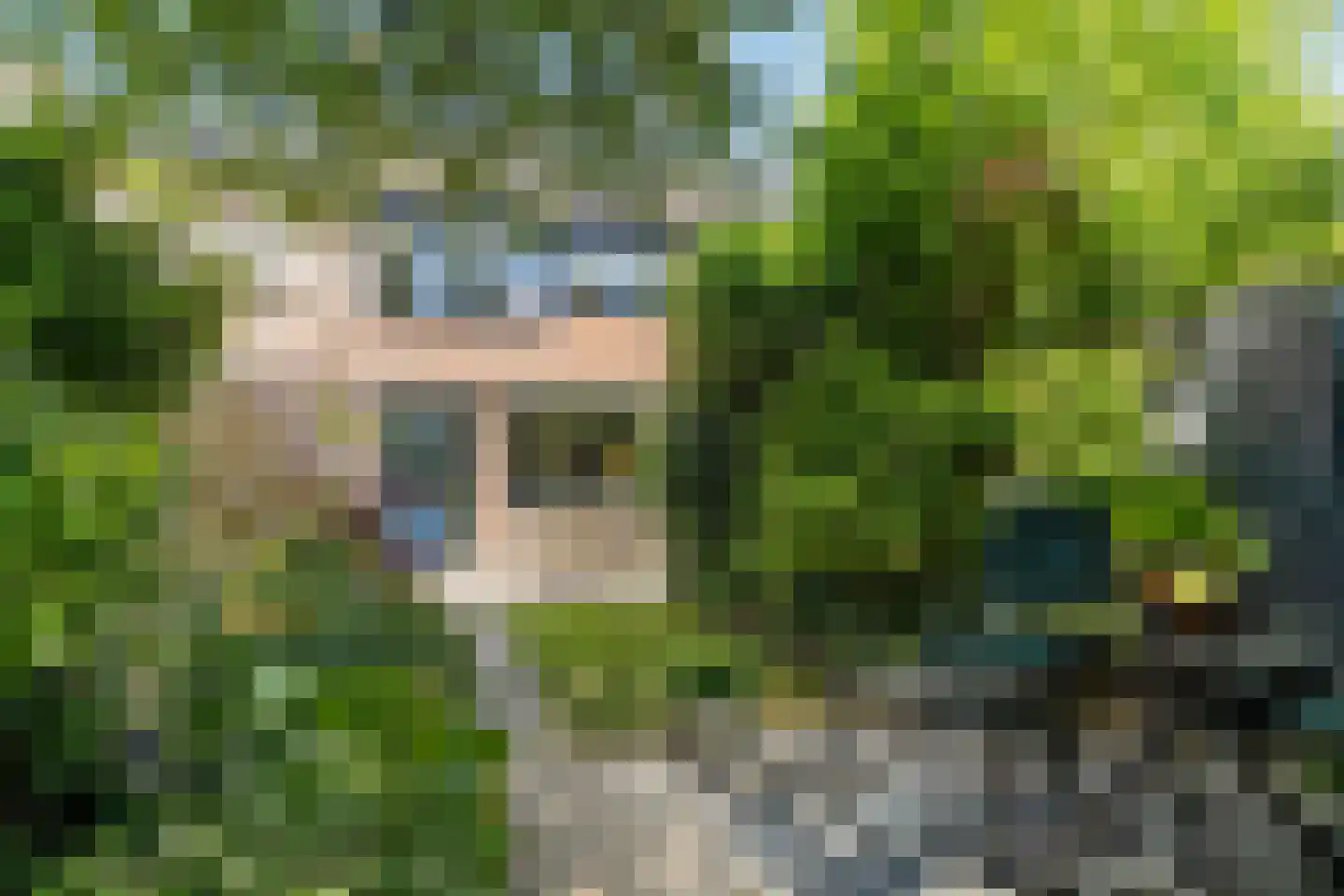 Opaalweg 34 Oss thumbnail 32