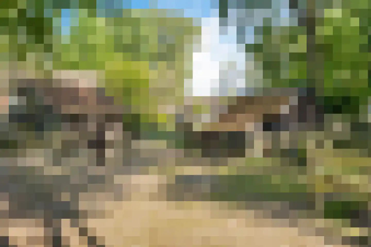 Opaalweg 34 Oss thumbnail 35