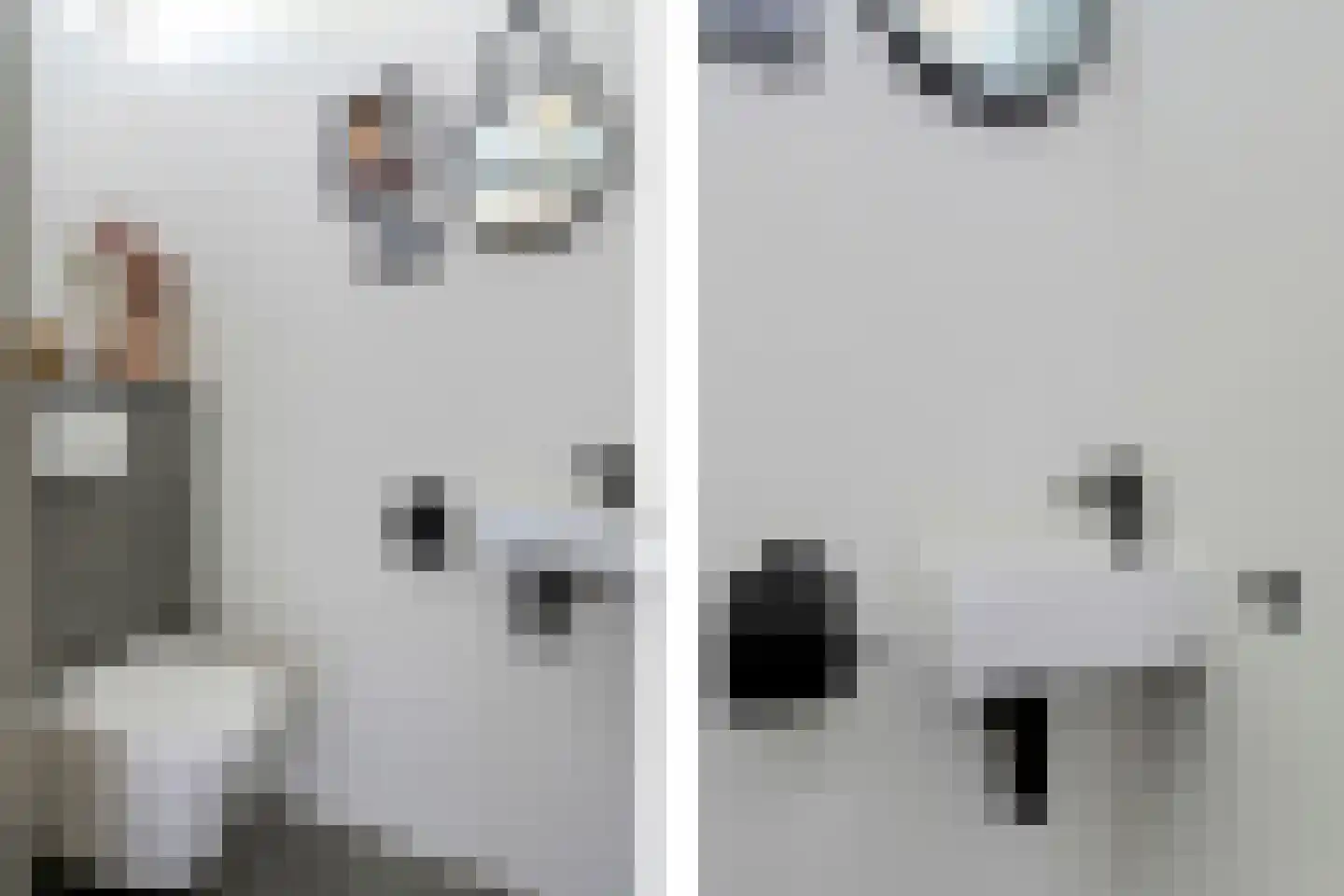 Opaalweg 34 Oss thumbnail 7