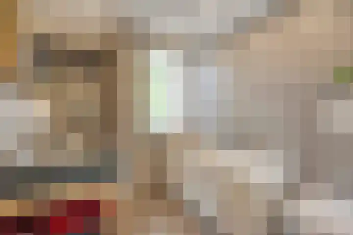 Opaalweg 36 Oss thumbnail 17