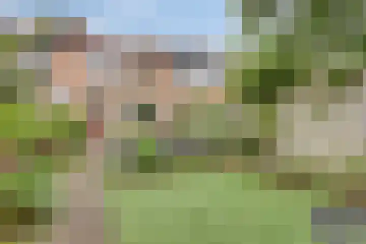Opaalweg 36 Oss thumbnail 24
